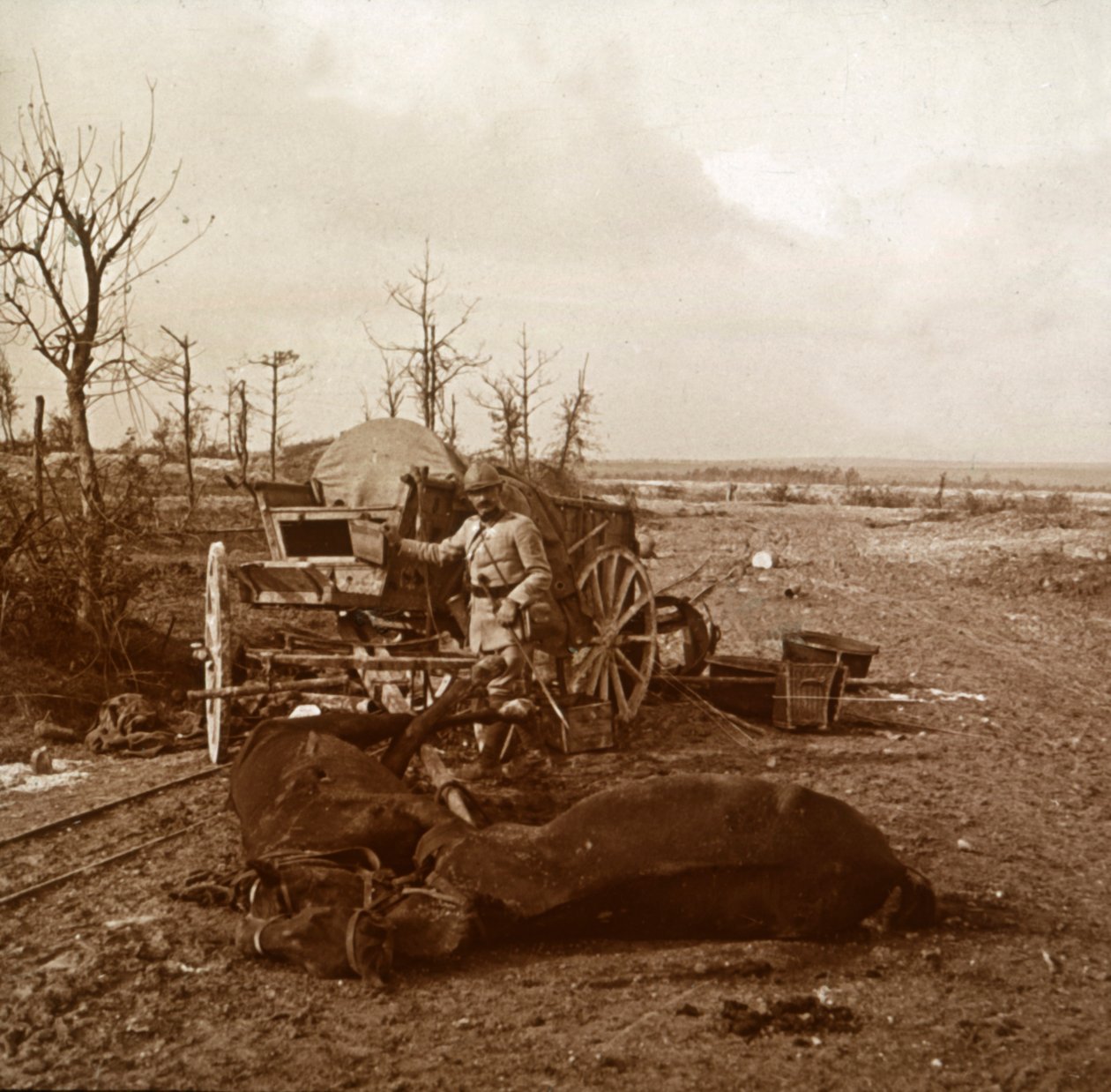 Tyskt hästdraget fordon, Tahure, norra Frankrike, c1914-c1918 av Unbekannt