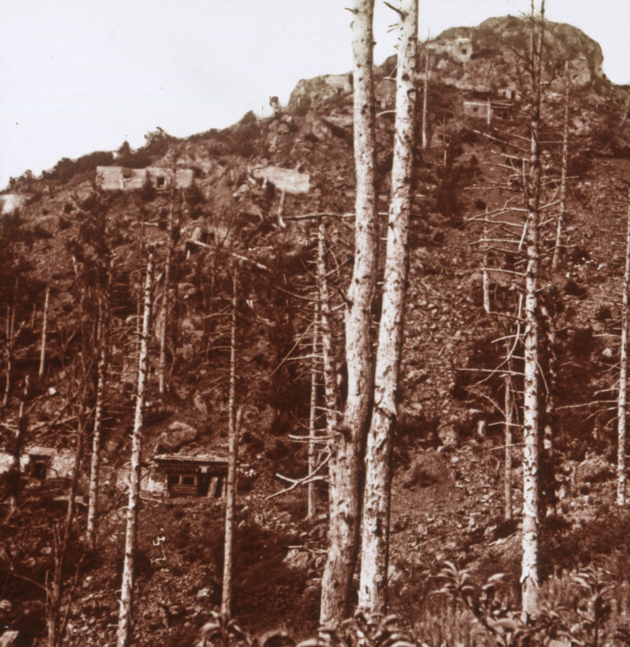Tyska linjerna, c1914-c1918 av Unbekannt