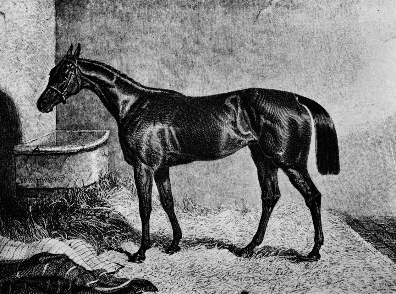 Ghuznee, 1800-talet, 1911 av Unbekannt