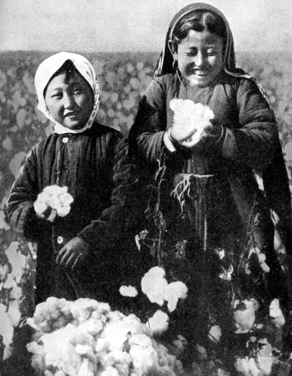 Flickor i ett bomullsfält, Kazakstan, 1936 av Unbekannt