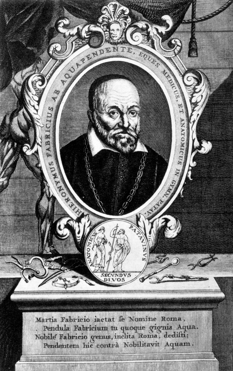 Girolamo Fabrici, italiensk anatom och kirurg, 1600-talet av Unbekannt