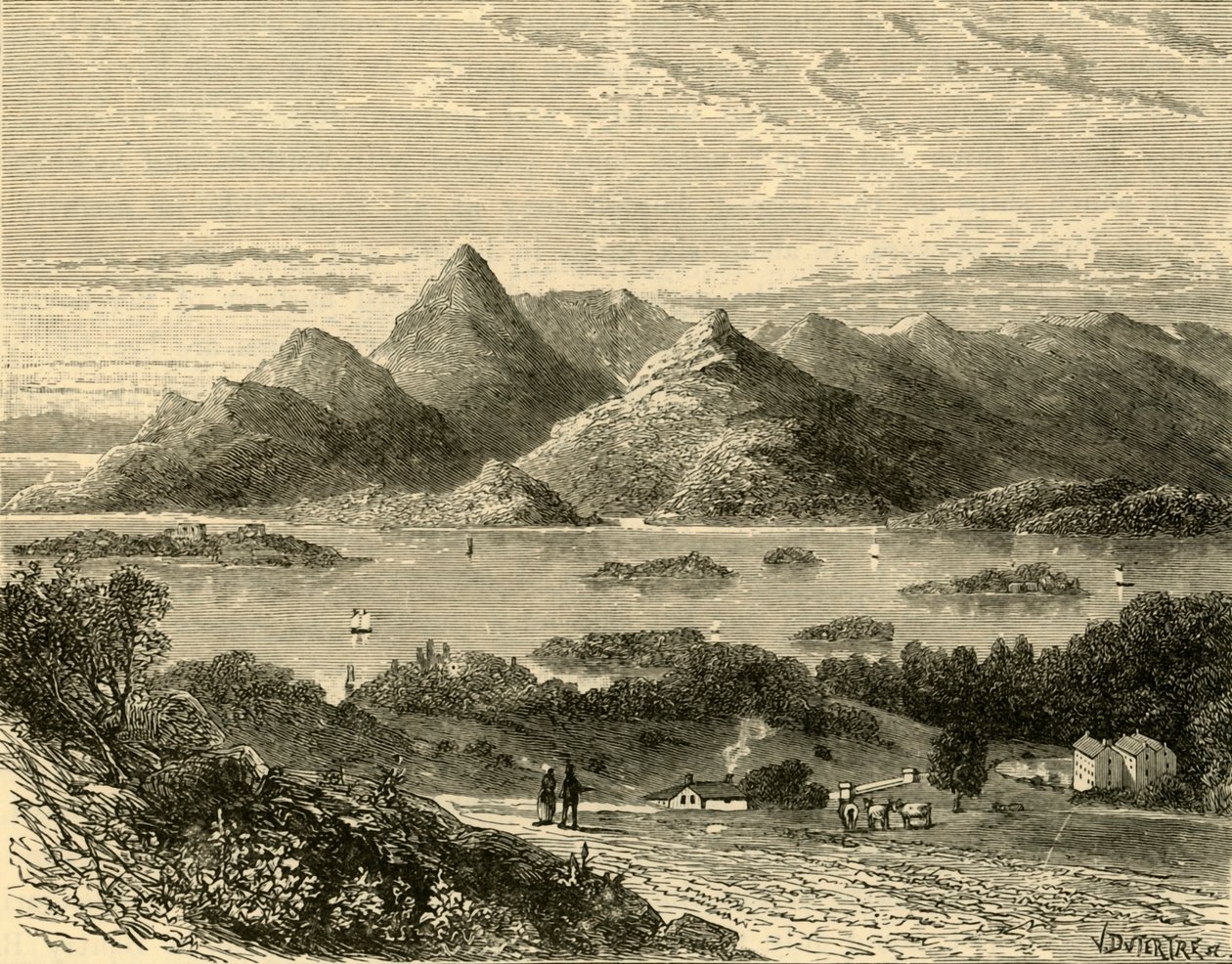 Glengariff Harbour och Bantry Bay från Eccles Hotel, 1898. av Unbekannt