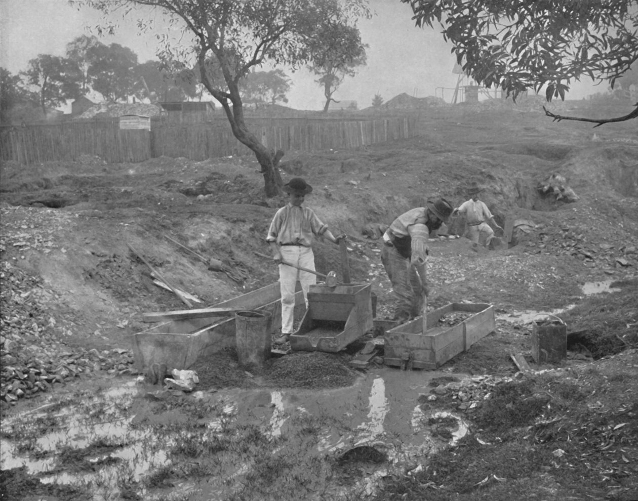 Guldgrävning i Australien, 1800-talet av Unbekannt