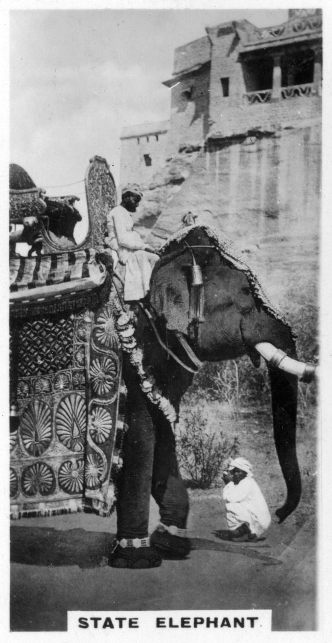 Regeringselefant i statsdräkt, södra Indien, c1925 av Unbekannt