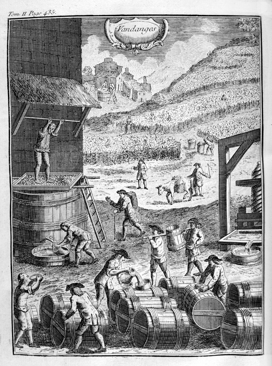 Druvskörden, 1775 av Unbekannt