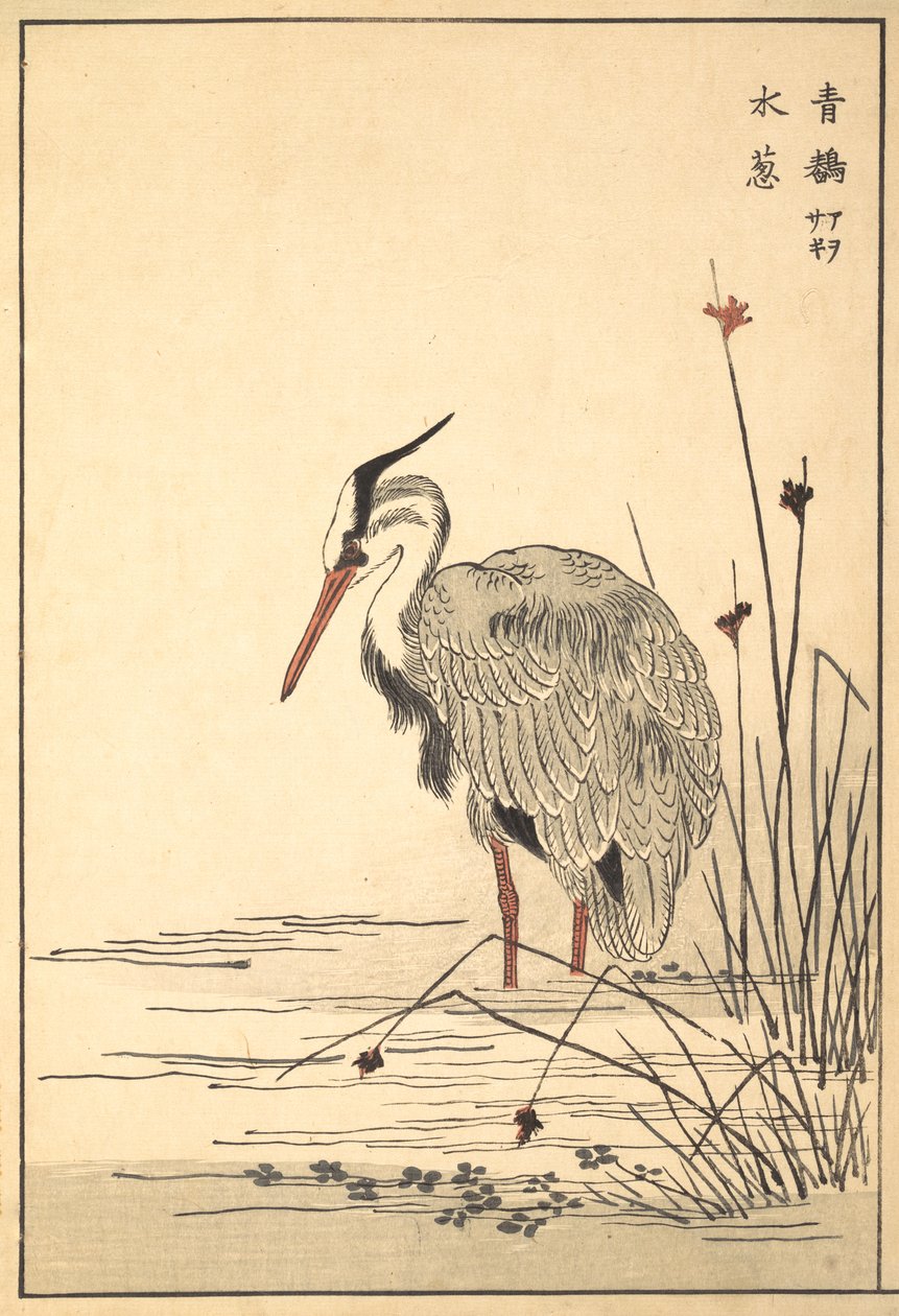 Grey Heron Aosagi och Mizu-aoi Plant, 1857. av Unbekannt