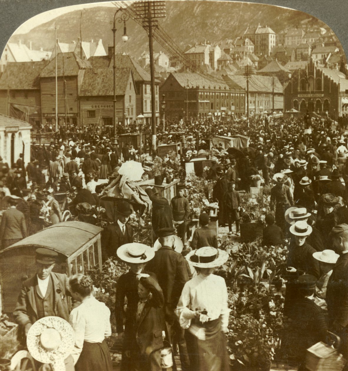 Stor marknadsplats för livliga Bergen, blomstermarknaden N. till fiskmarknaden, Norge, c1905. av Unbekannt