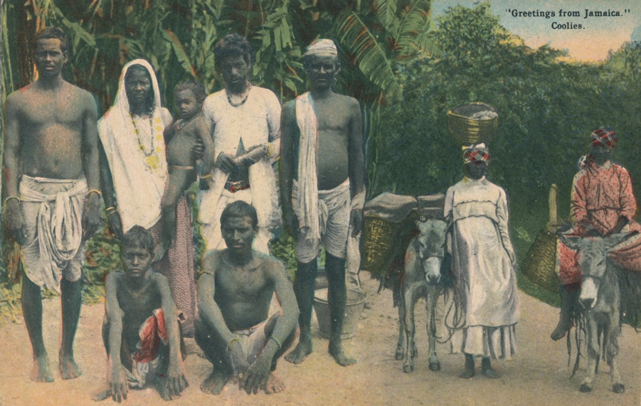 Hälsningar från Jamaica. Coolies, tidigt 1900-tal. av Unbekannt