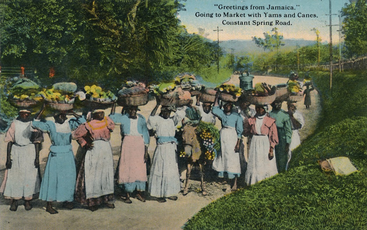 Hälsningar från Jamaica. Går till marknaden med Yams och käppar. Constant Spring Road, 1913. av Unbekannt