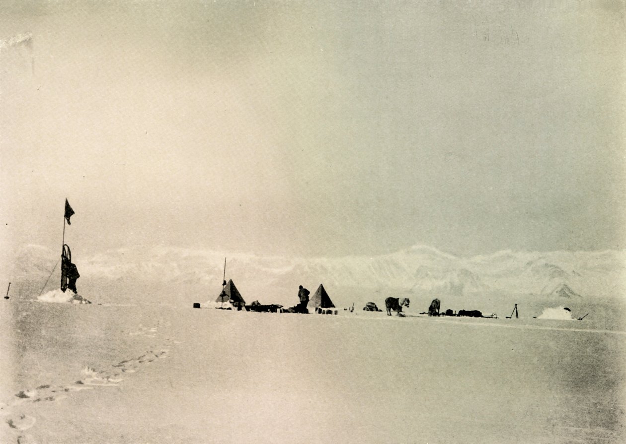 Grisi Depå, Latitude 82° 45 South, c1908, 1909. av Unbekannt
