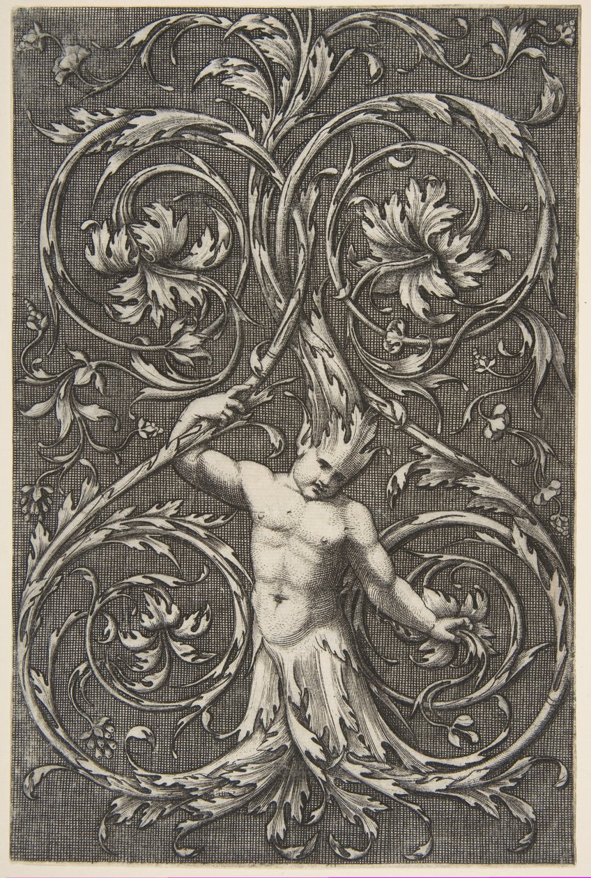 Grotesk med mansfigur med underkropp och huvud av akantusrullar, ca. 1515-1600. av Unbekannt