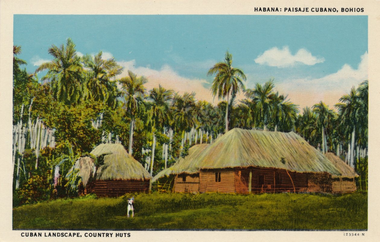 Havanna: Kubanskt landskap, Bohios. Kubanskt landskap, lanthyddor, c1910 av Unbekannt