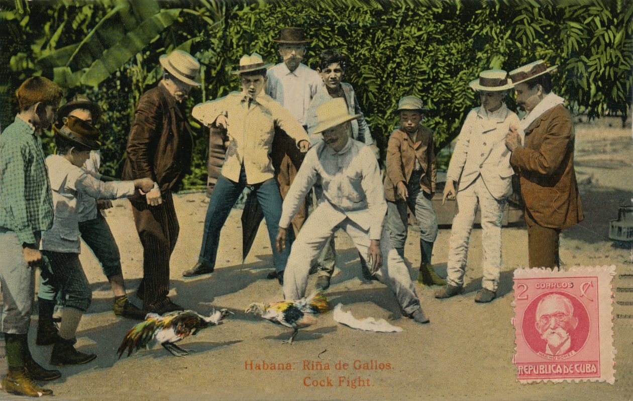 Havanna: Rina de Gallos. Tuppkamp, ​​1918 av Unbekannt