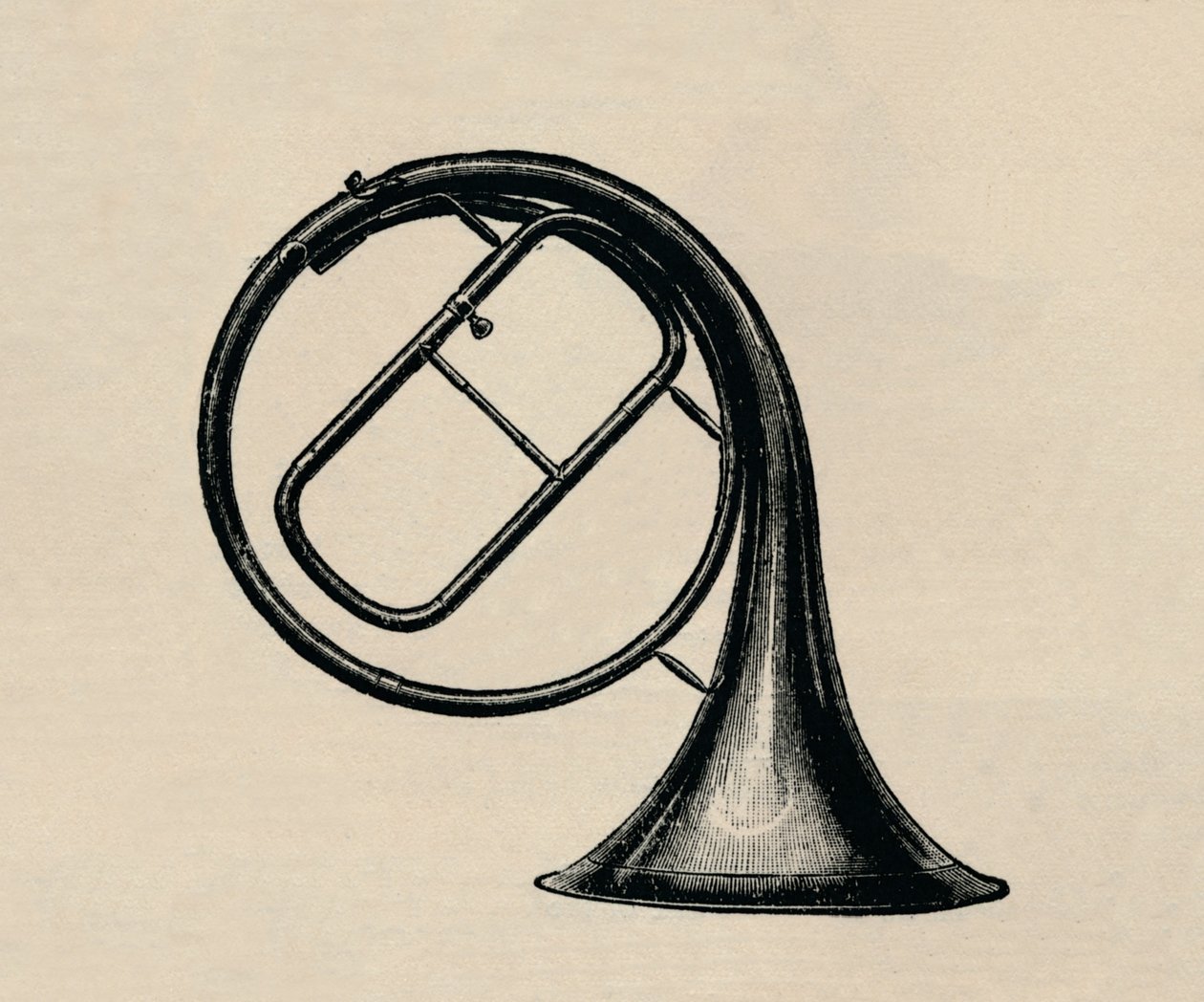Handhorn, 1895. av Unbekannt