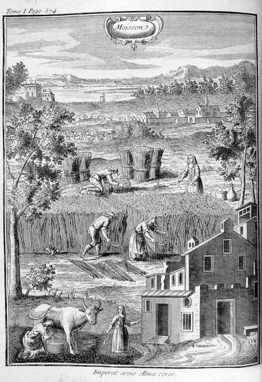 Skörd, 1775 av Unbekannt