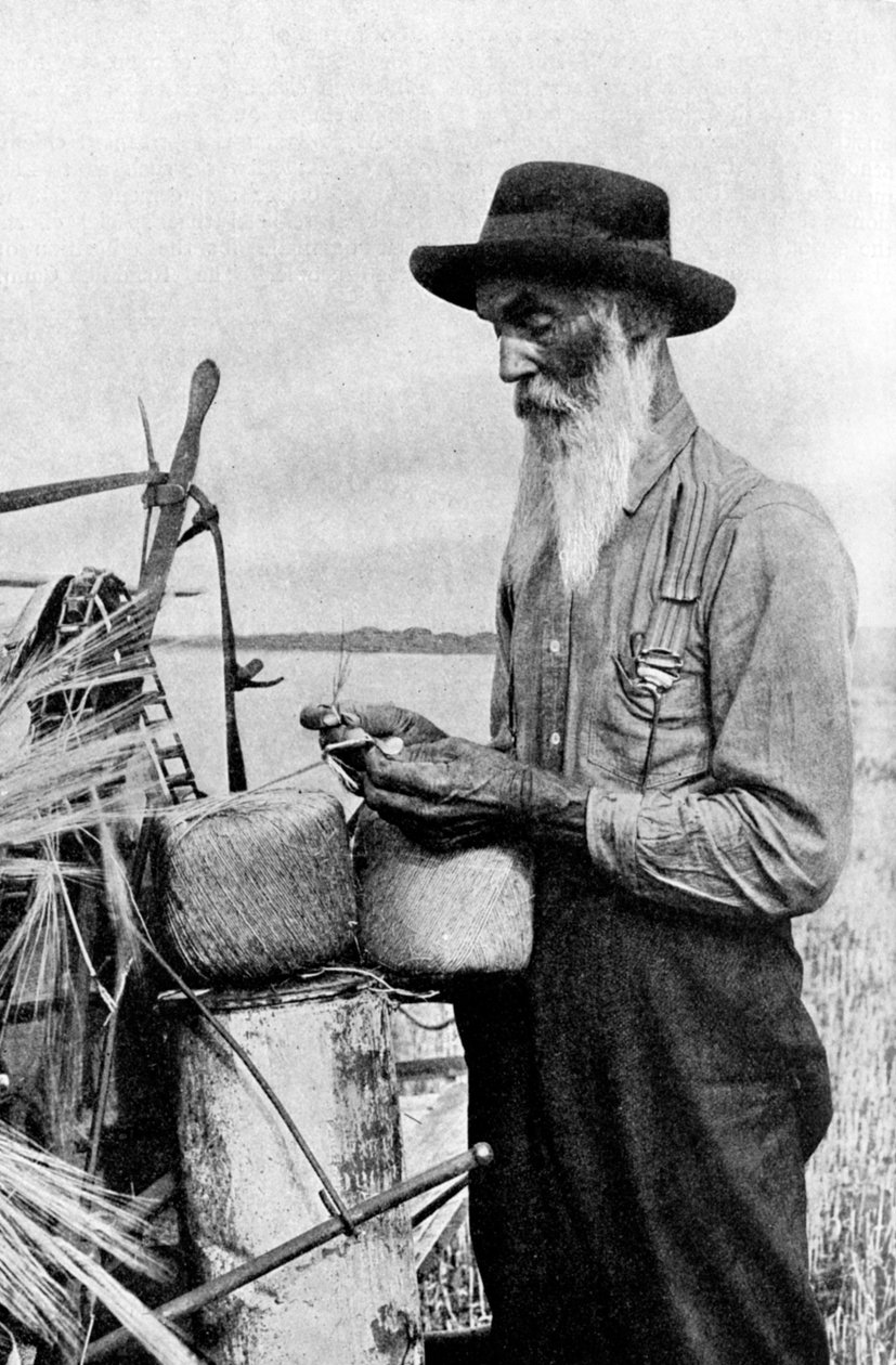 Skördetid i Red River-distriktet, Alberta, Kanada, 1922 av Unbekannt