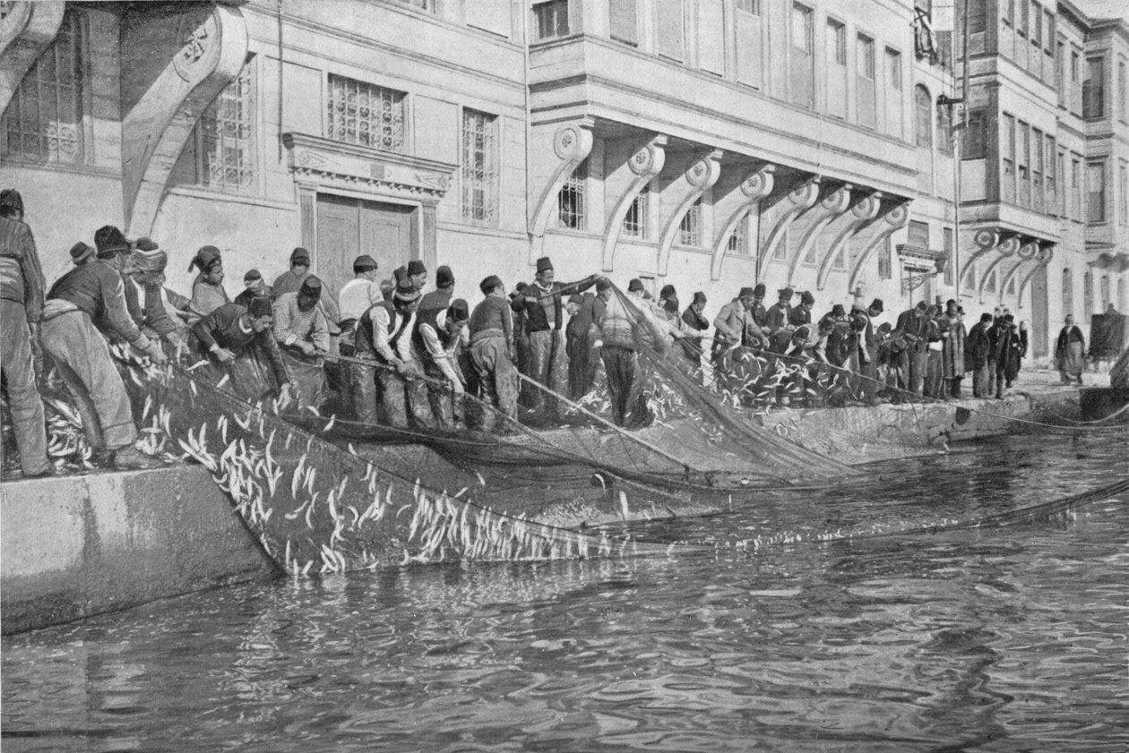 Dra in en Grippo på 15 000 fiskar vid Emirgian på Bosporen, c1901, 1903 av Unbekannt