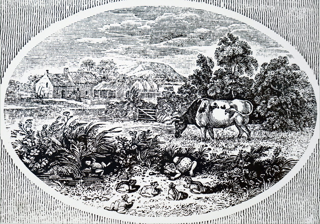 Headpiece av Thomas Bewick av Unbekannt