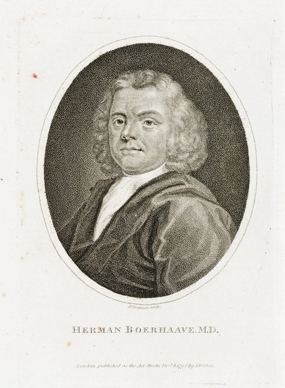 Herman Boerhaave, holländsk läkare, kemist och botaniker, tidigt 1700-tal av Unbekannt