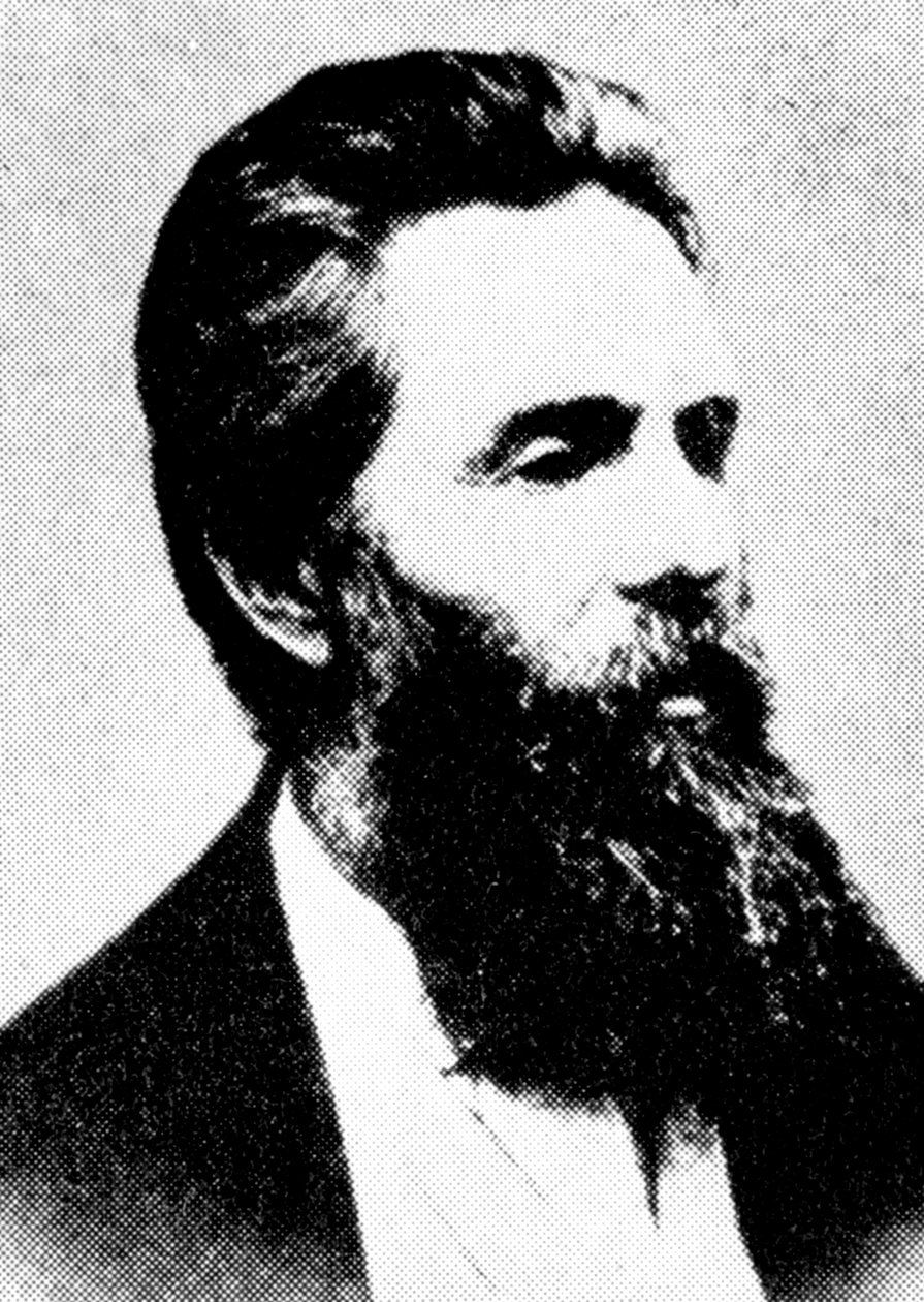 Herman Melville, amerikansk författare, 1800-talet av Unbekannt