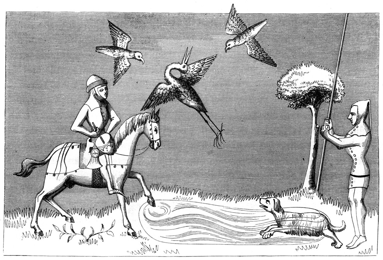 Heron Hawking, 1300-talet 1849 av Unbekannt