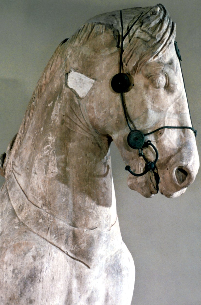 Häst, Quadriga av mausoleet vid Halikarnassos, 350 f.Kr av Unbekannt