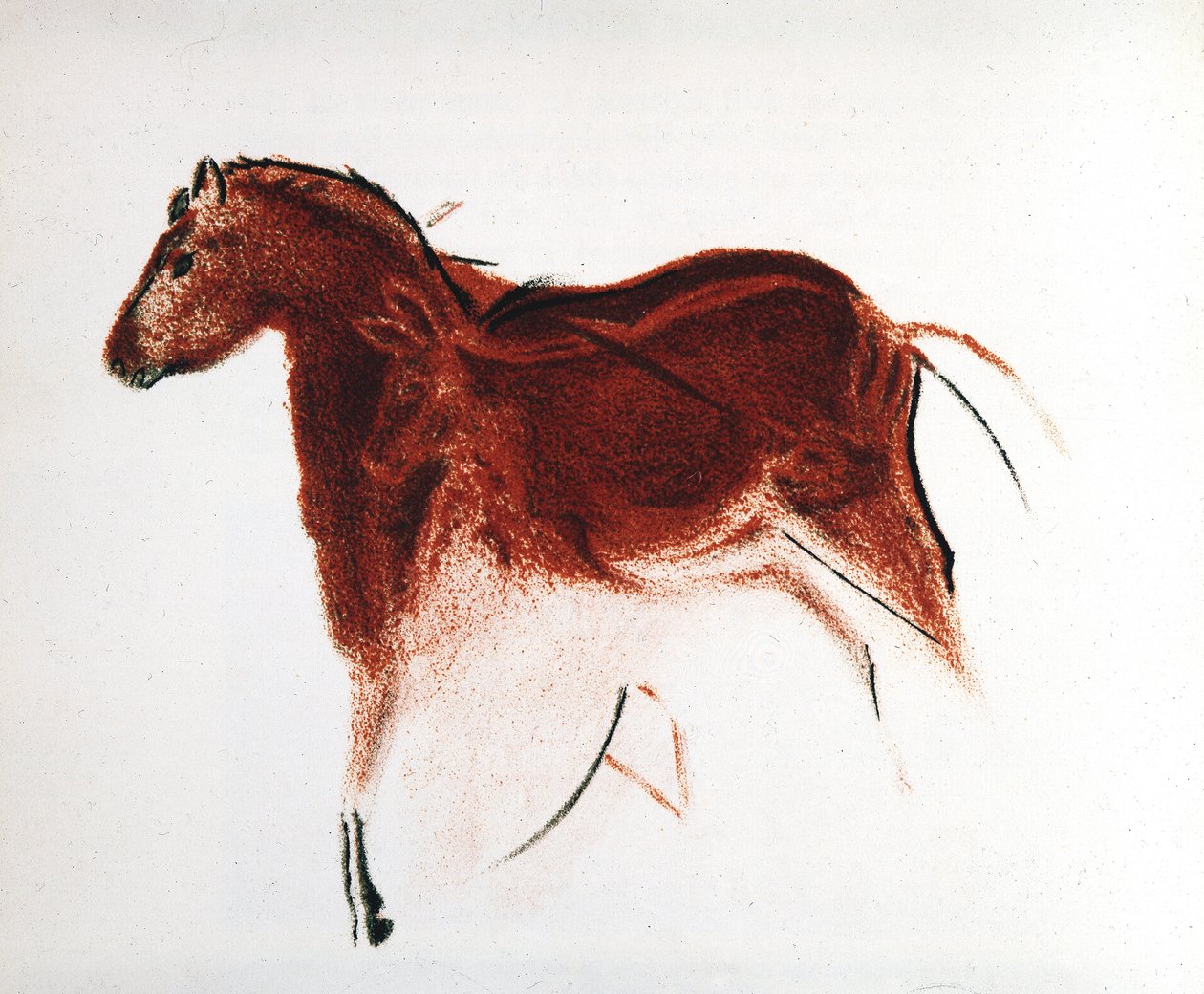 Häst och hind, paleolitisk grottmålning från Altamira, södra Spanien, c16 000-c9000 f.Kr. av Unbekannt