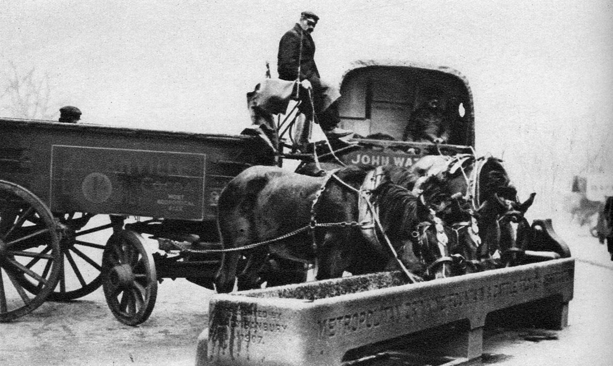 Hästar som dricker ur en boskapstrå, London, 1926-1927 av Unbekannt