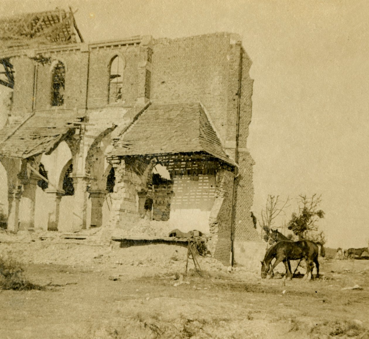 Hästar som betar nära den ruinerade kyrkan, Frise, norra Frankrike, c1914-c1918 av Unbekannt
