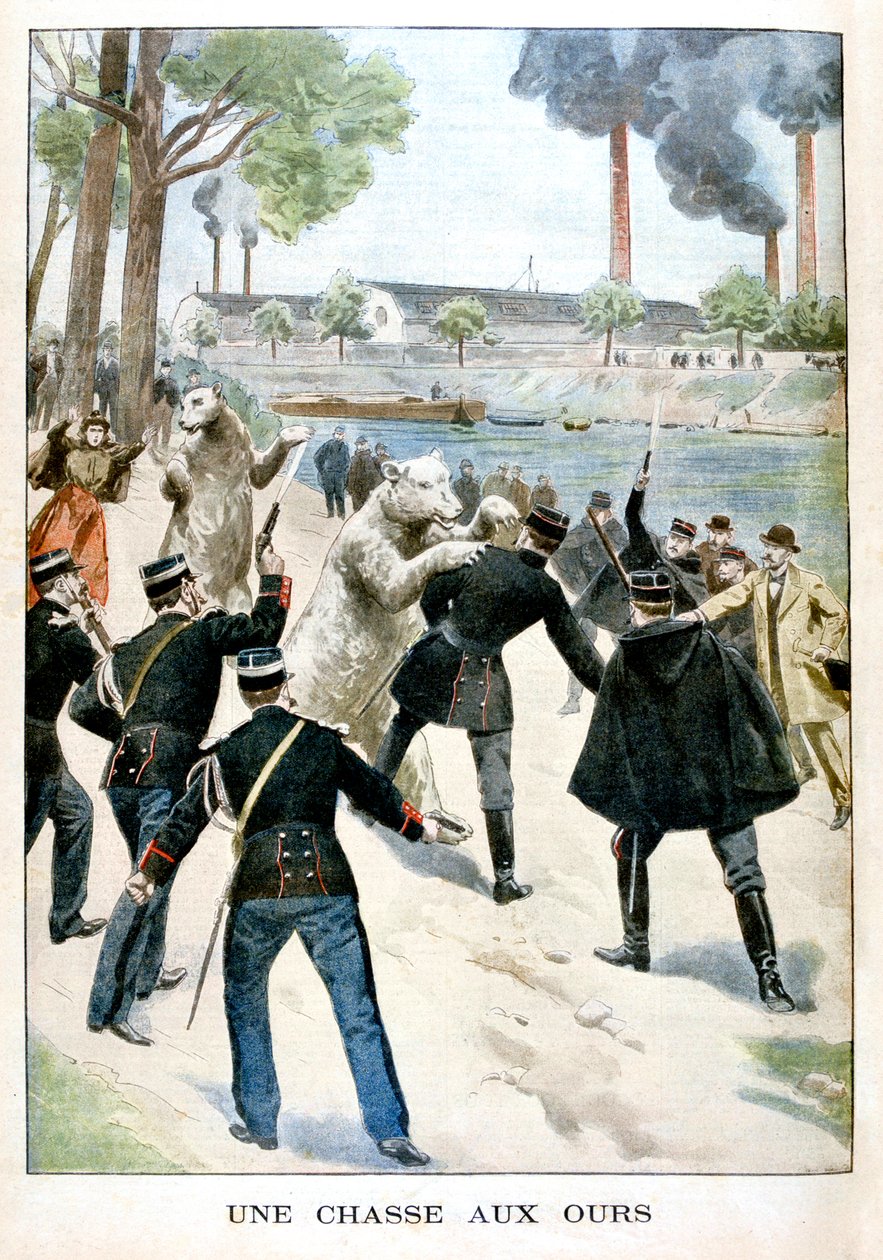 Jakt på björnar, 1901 av Unbekannt