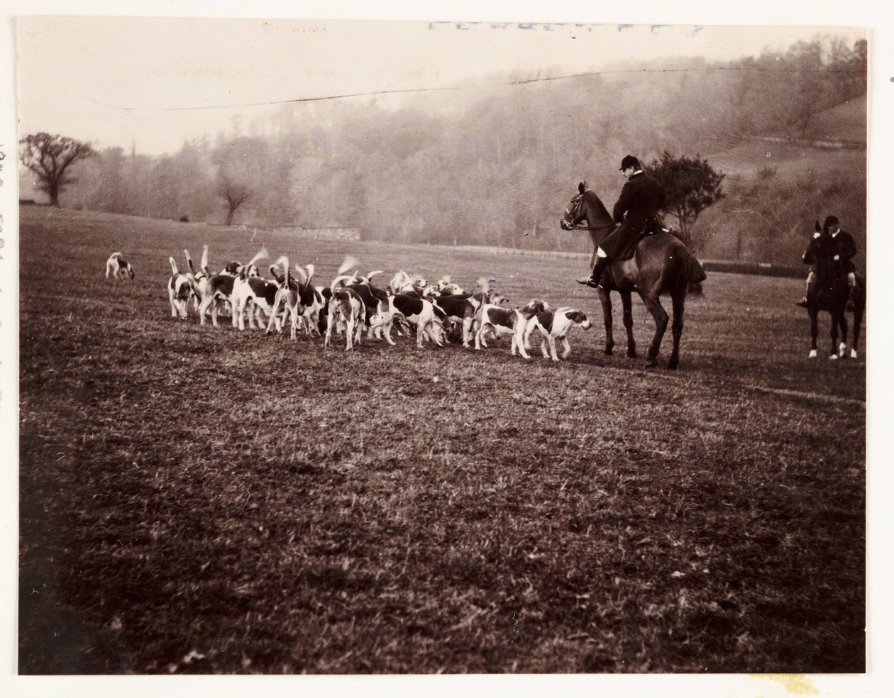 Jägare och hundar, c 1905 av Unbekannt