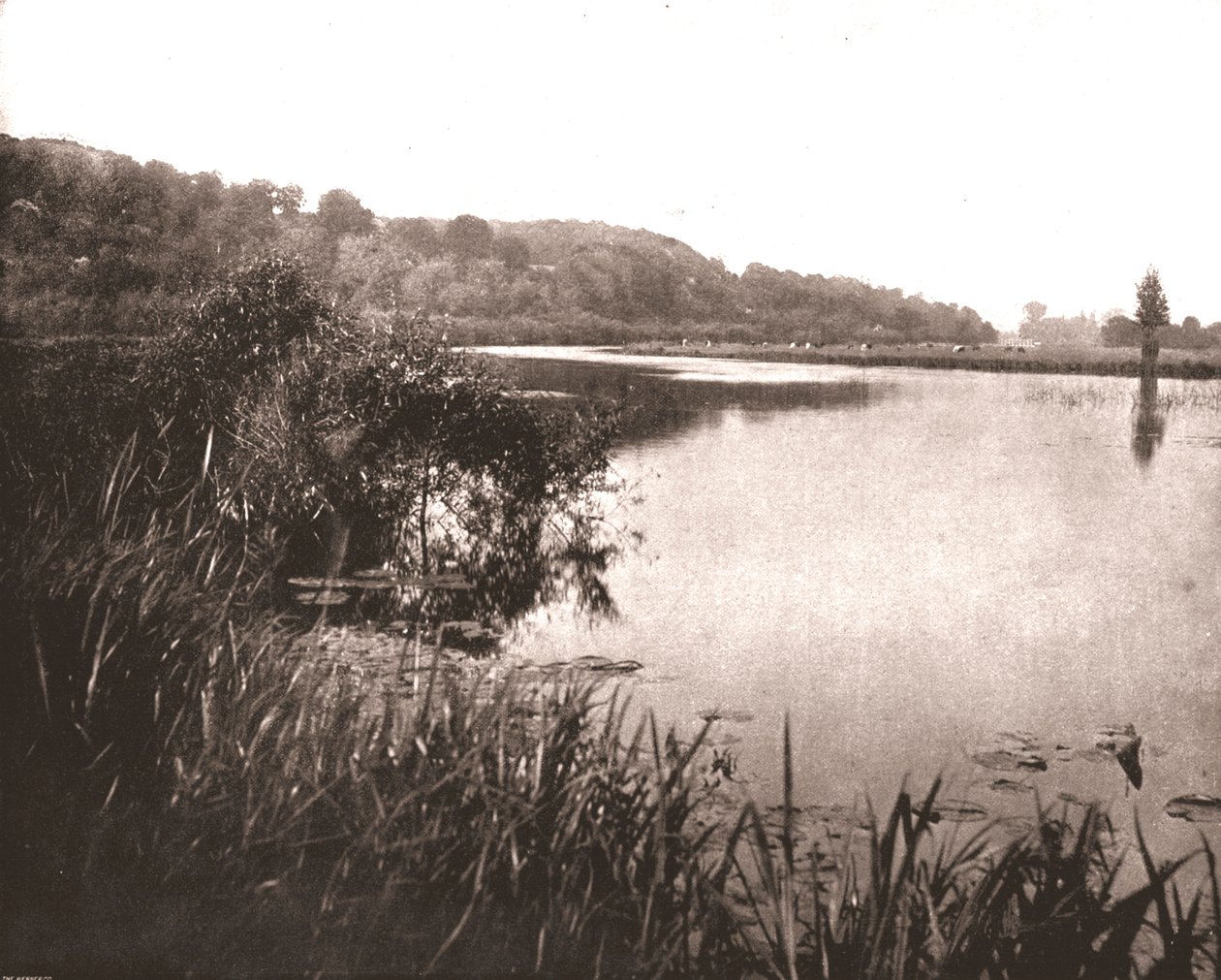 Hurley Reach, Themsen mellan Bisham och Medmenham, Buckinghamshire, 1894. av Unbekannt