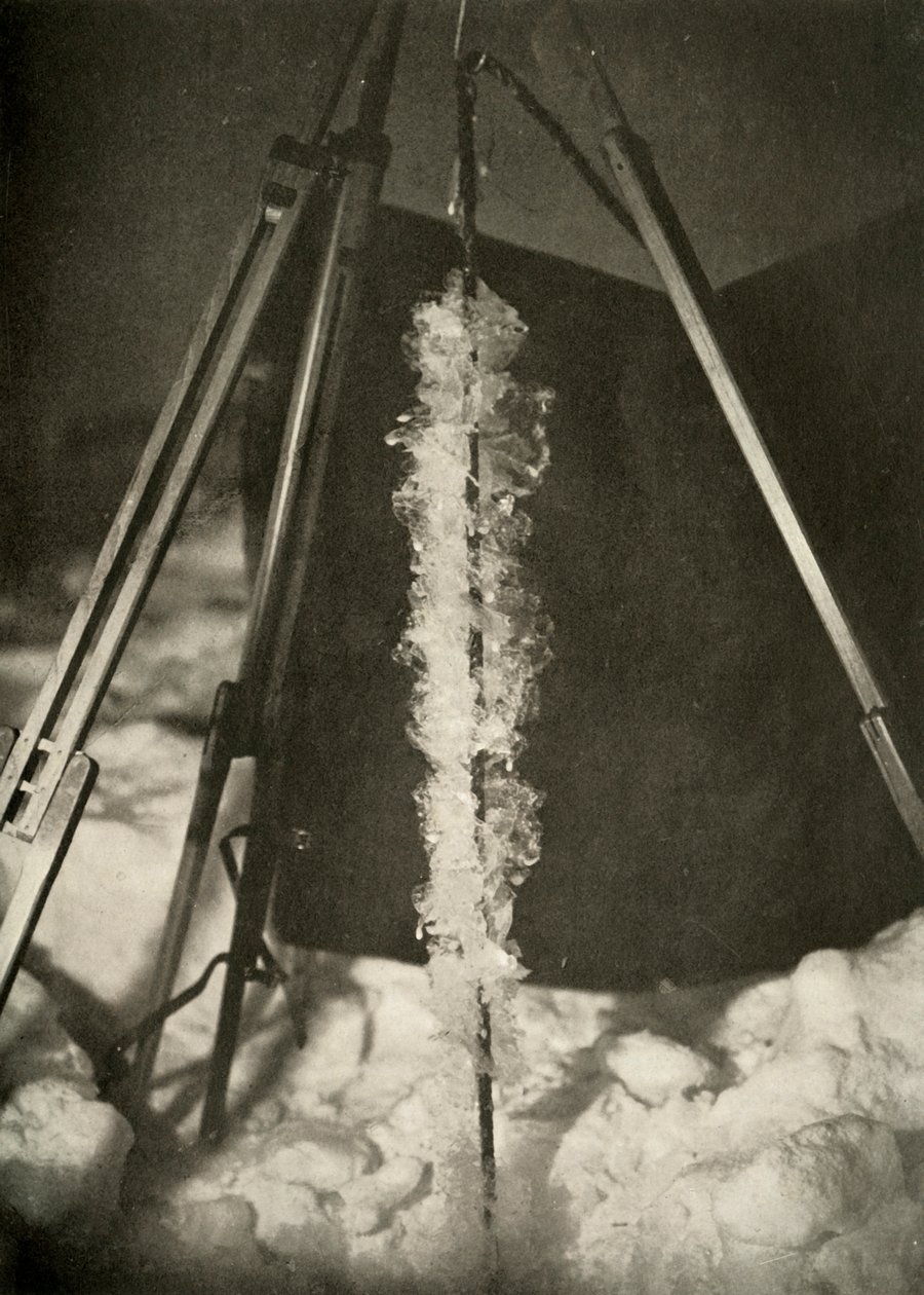 Iskristaller bildade på linjen av en fiskfälla, c1908, 1909 av Unbekannt