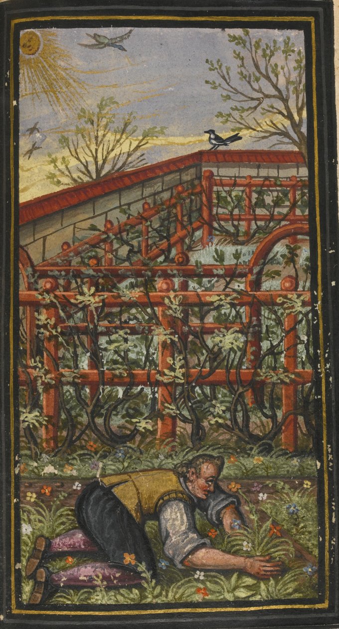 Illustration till Det eviga livets underbara sommartid av Jacob Zader, 1603 av Unbekannt