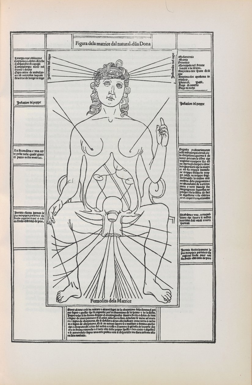 Illustration från Fasciculo di medicina av Johannes de Ketham, 1493. av Unbekannt