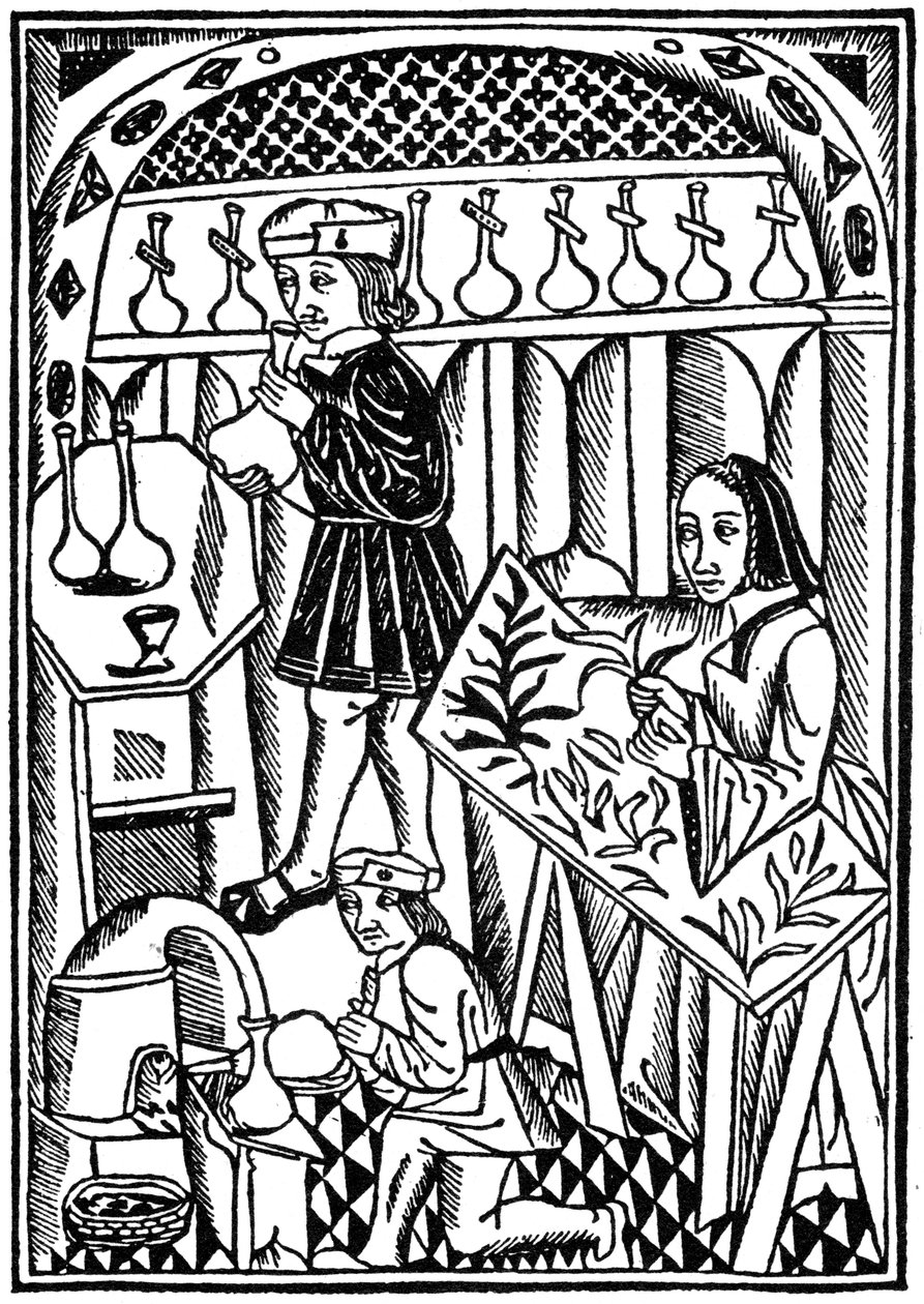 Illustration från The Owner of Things, 1500 1964 av Unbekannt