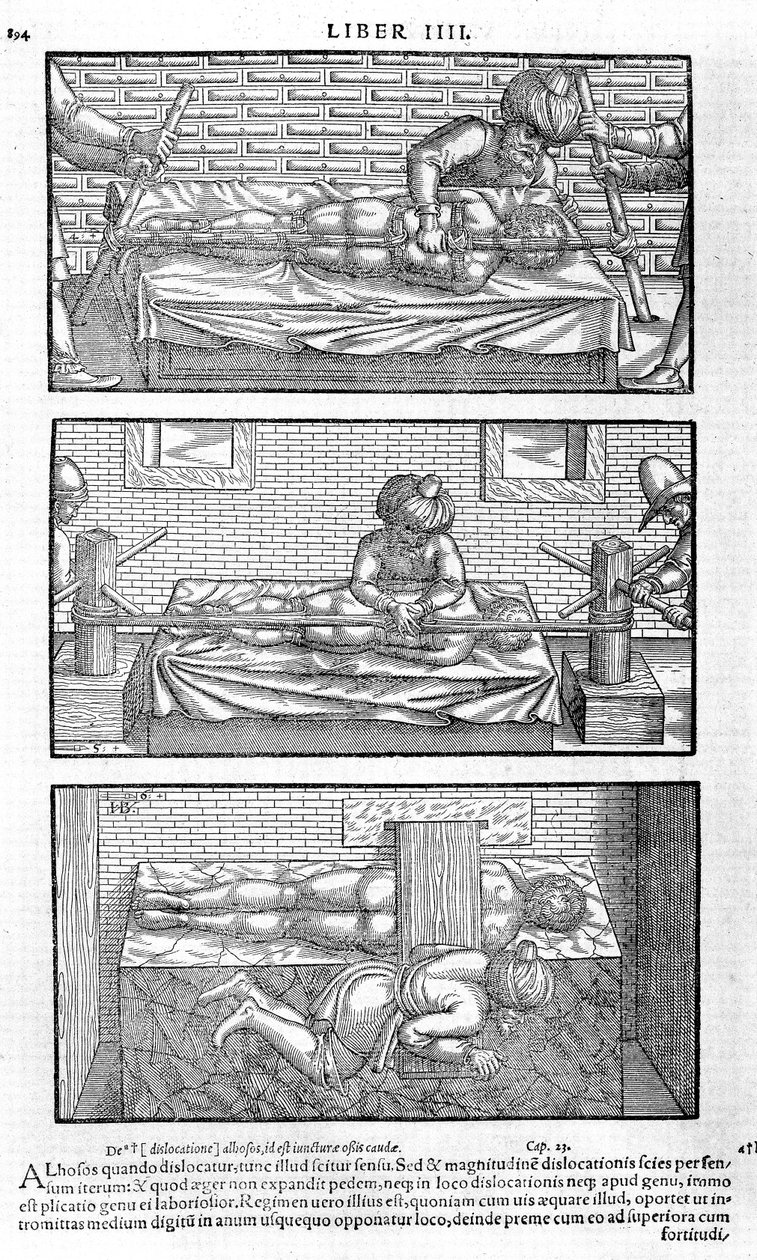 Illustration från Avicenna, 1556 av Unbekannt