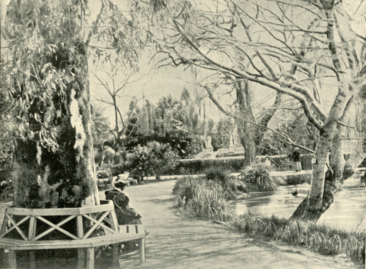 I den botaniska trädgården, Adelaide, 1901. av Unbekannt