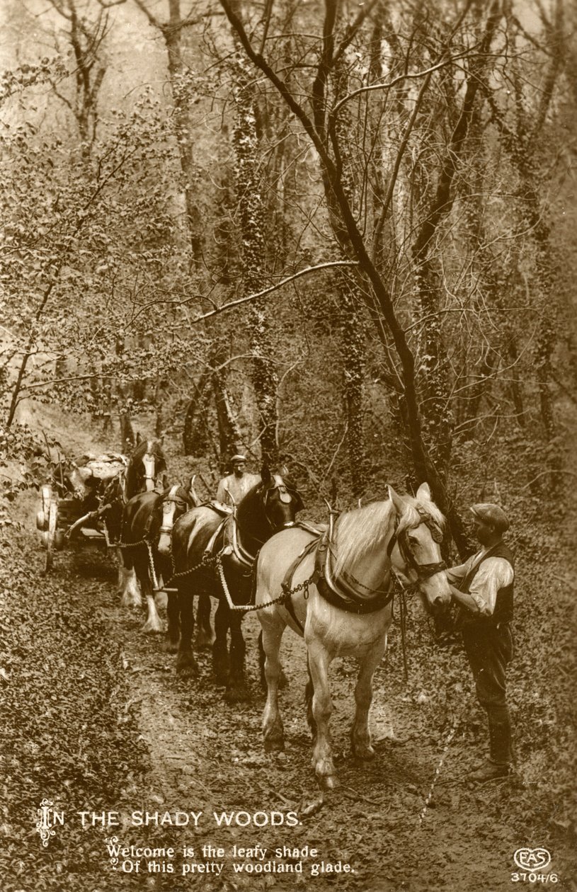 I Shady Woods, sent 1800-tal eller tidigt 1900-tal av Unbekannt
