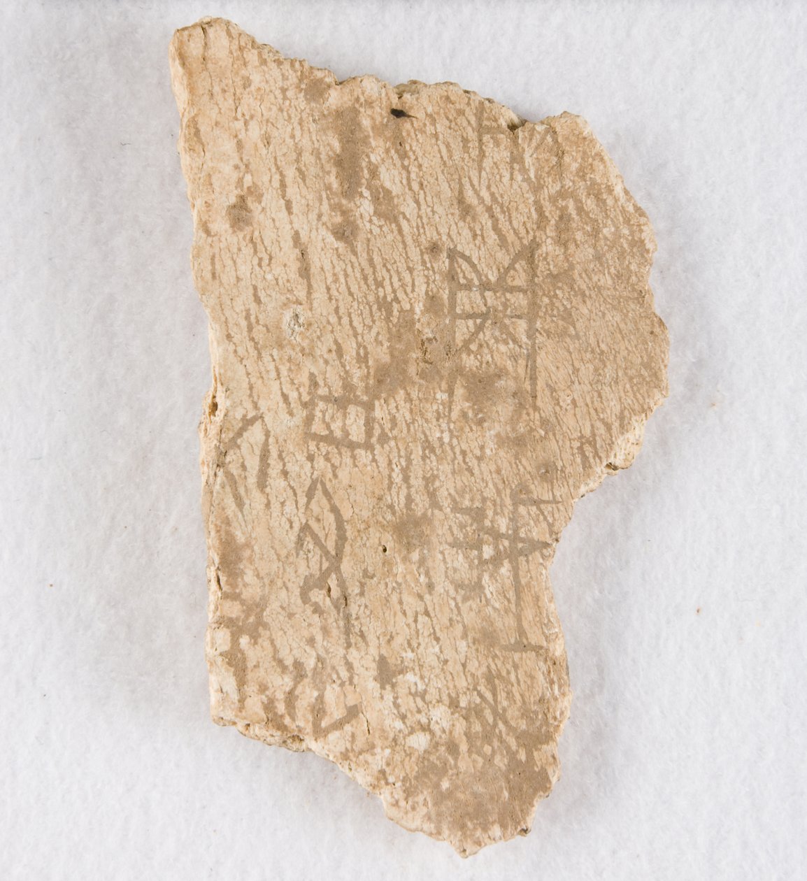 Orakelben av inskrivet benfragment, Late Shang-dynastin, ca. 1300-1050 f.Kr. av Unbekannt