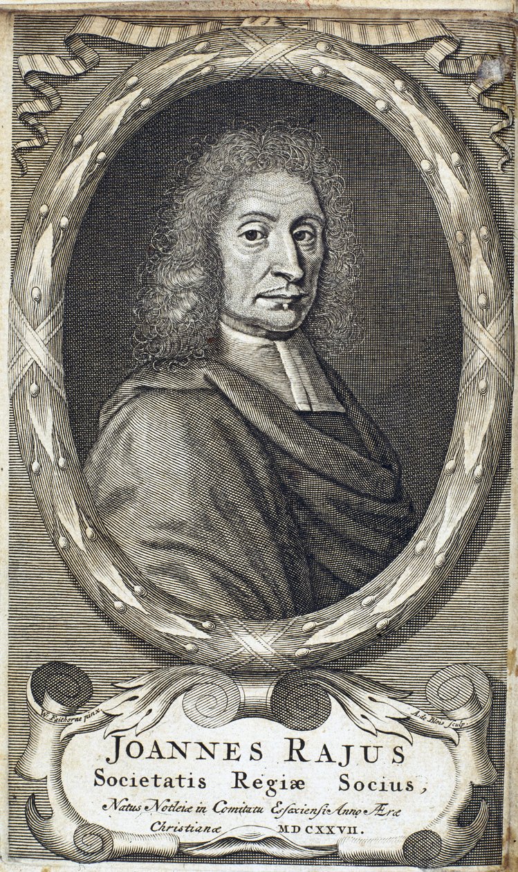 John Ray (Wray), engelsk naturforskare, ca 1700 av Unbekannt