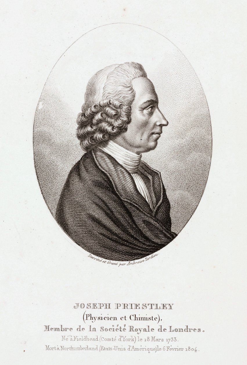 Joseph Priestley, engelsk-amerikansk teolog och kemist, ca 1780 av Unbekannt