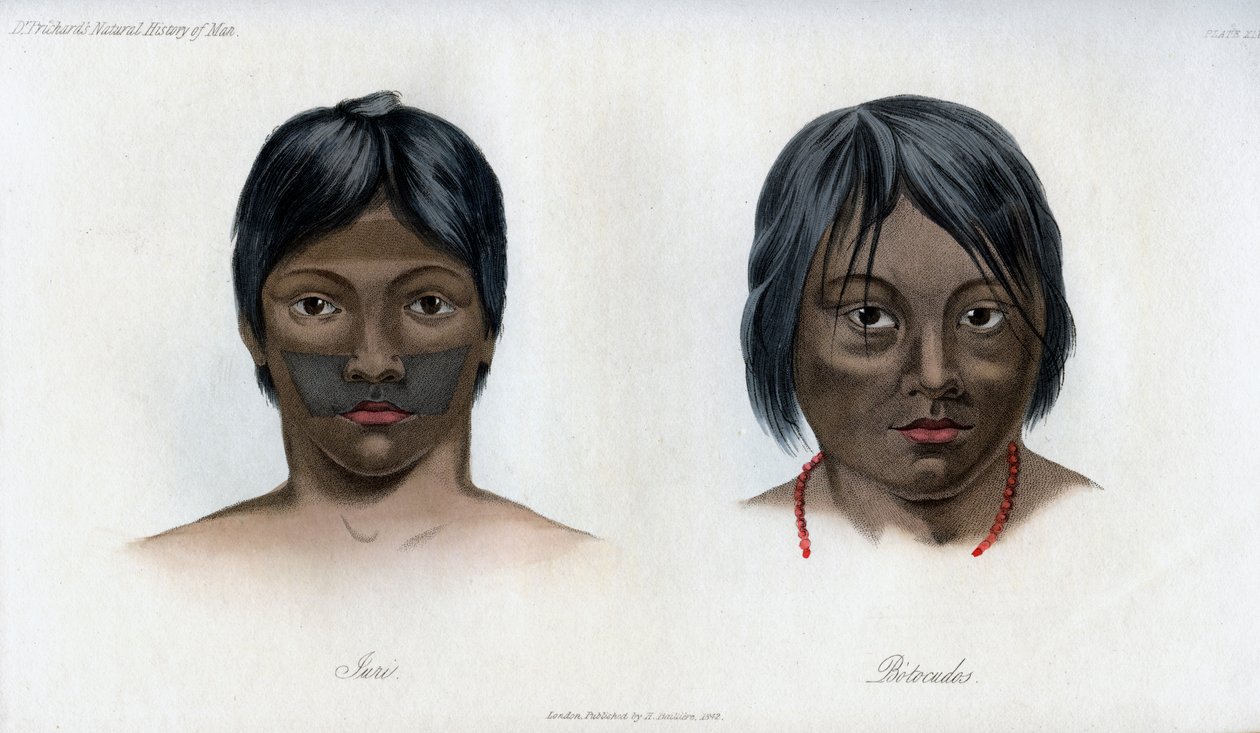 Juri och Botocudos, från Brasilio-Guarani-nationen, 1848 av Unbekannt