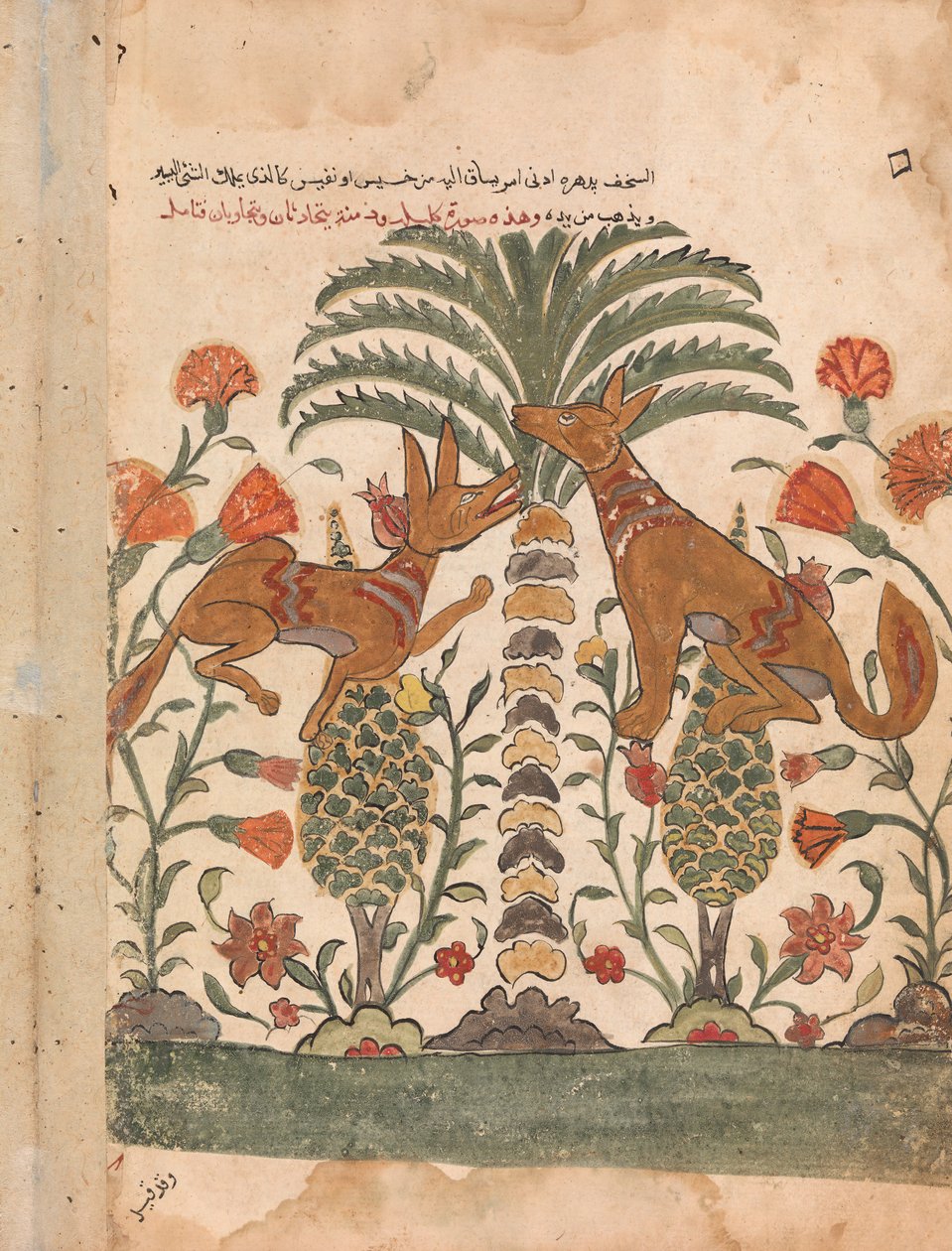 Kalila Upbraiding Dimna, Folio från en Kalila wa Dimna, 1700-tal. av Unbekannt