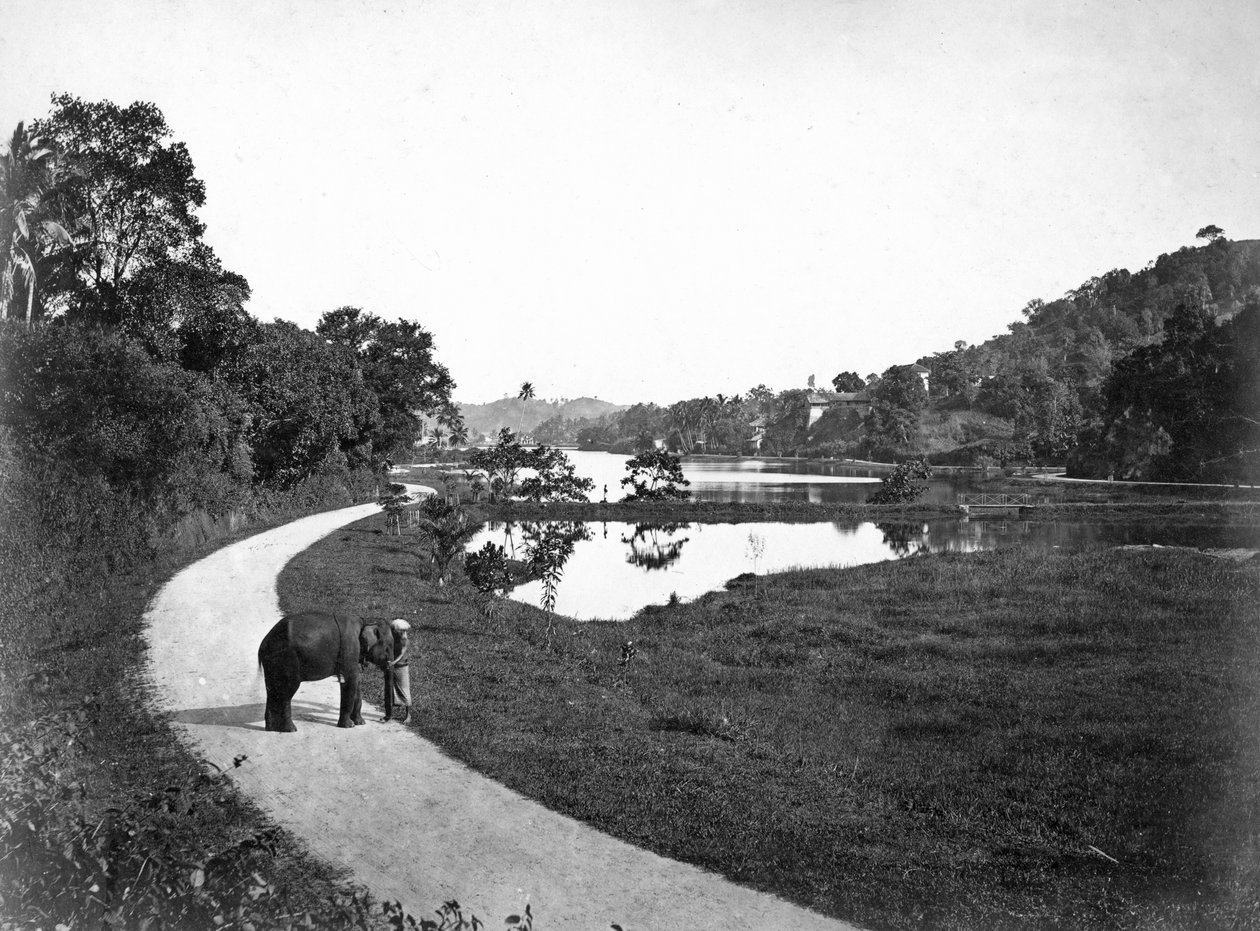 Kandy Lake, Kandy, Sri Lanka, c1910-talet av Unbekannt