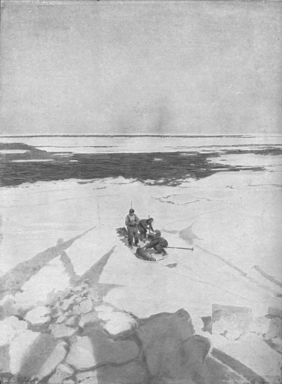 Dödande sälar, 1911, 1928 av Unbekannt