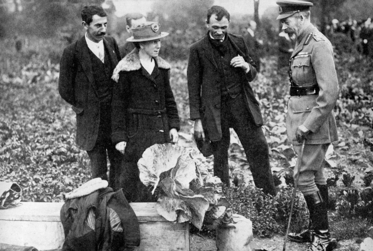 Kung George V beundrar kolonilotter på Clapham Common, London, c1910-c1920s 1936 av Unbekannt