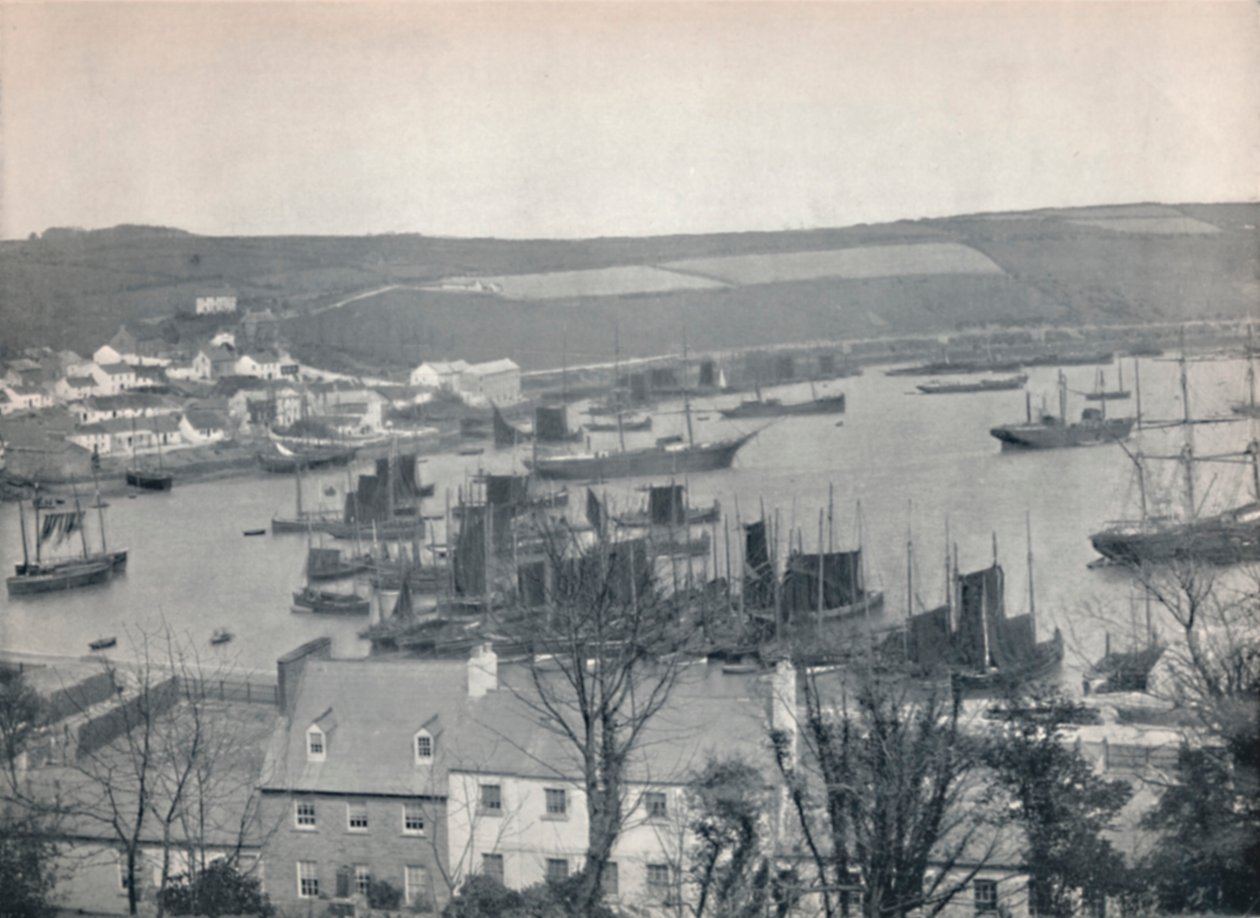 Kinsale - En fiskeflotta i hamnen, 1895 av Unbekannt