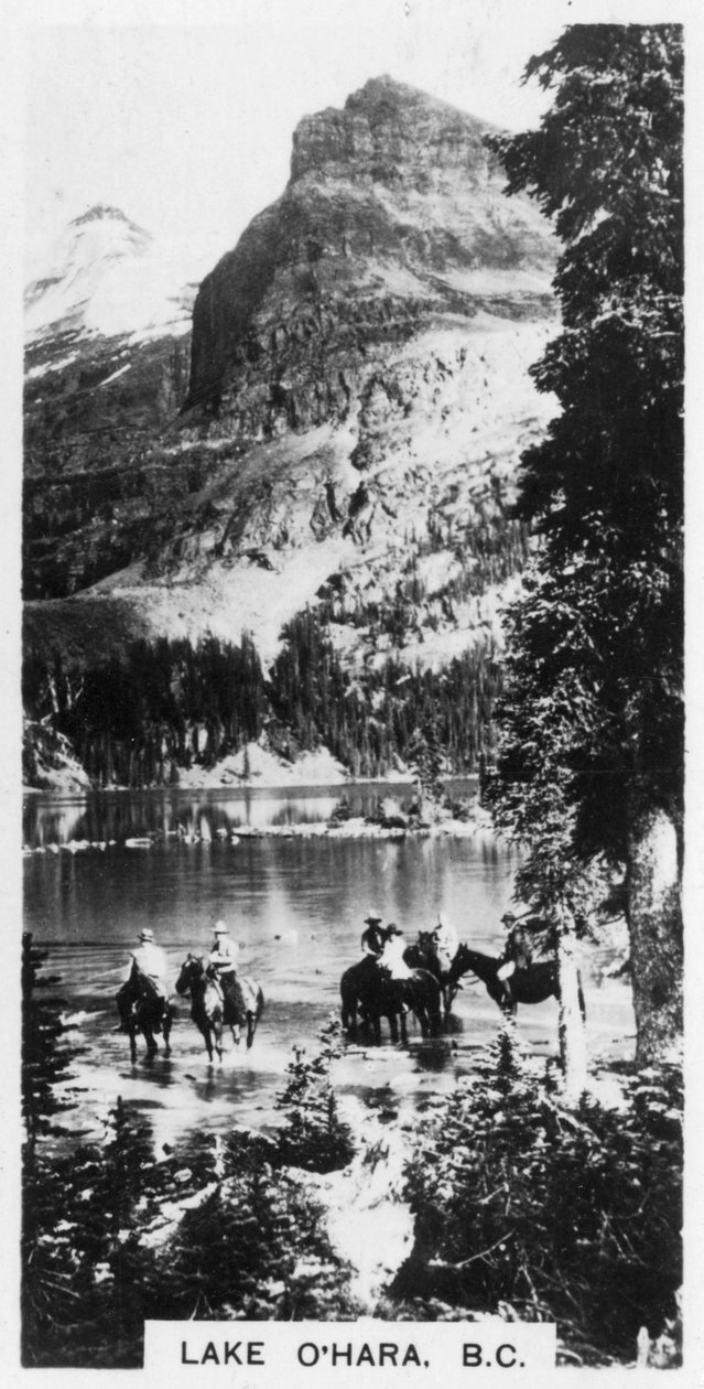 Lake OHara, British Columbia, Kanada, c1920-talet av Unbekannt