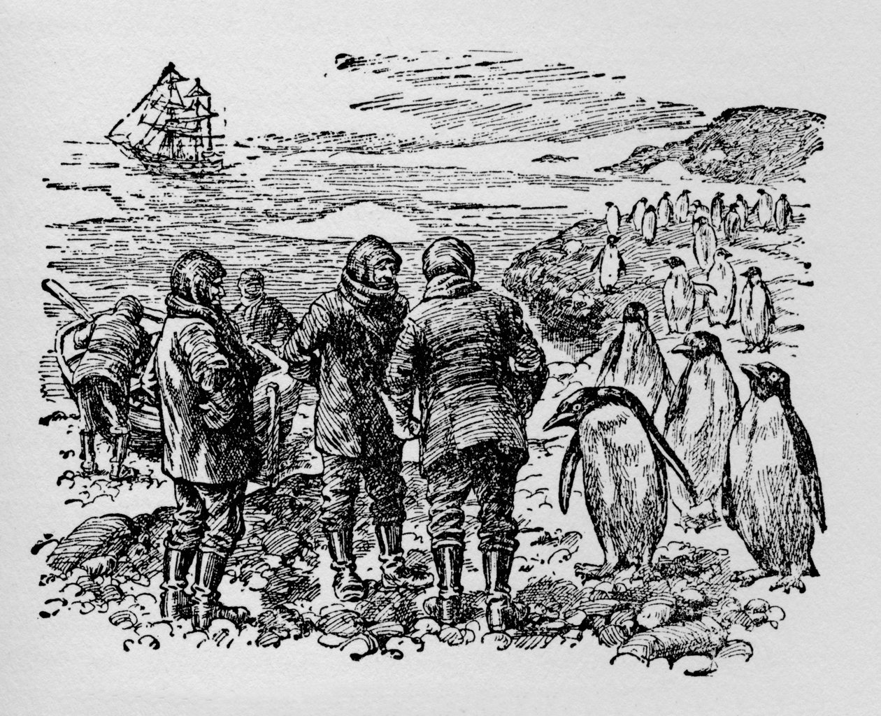 Landade på en liten ö bebodd av myriader av pingviner, c1918 av Unbekannt